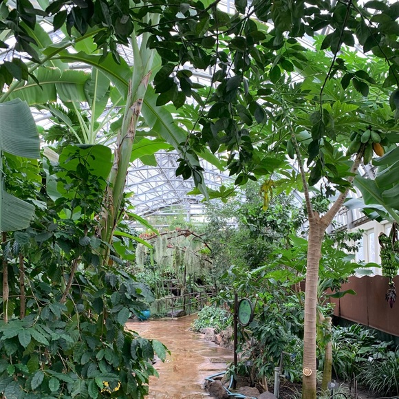 Meet your Posher, Laura - Picture 3 of 4